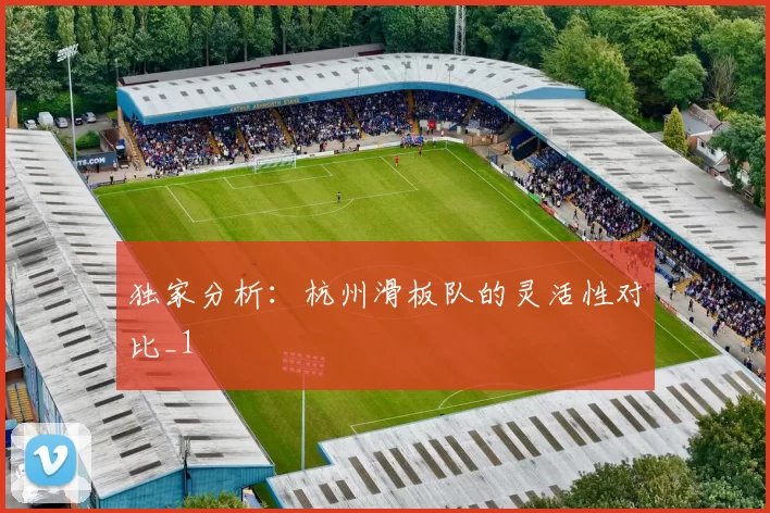 独家分析：杭州滑板队的灵活性对比_1