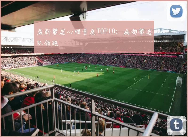 最新攀岩心理素质TOP10：成都攀岩队领跑