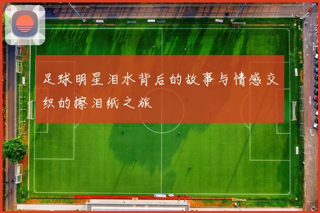 足球明星泪水背后的故事与情感交织的擦泪纸之旅