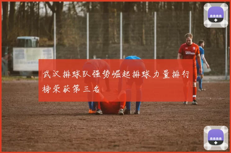 武汉排球队强势崛起排球力量排行榜荣获第三名