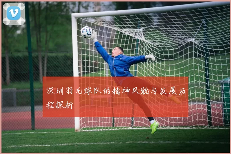 深圳羽毛球队的精神风貌与发展历程探析