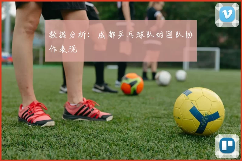 数据分析：成都乒乓球队的团队协作表现