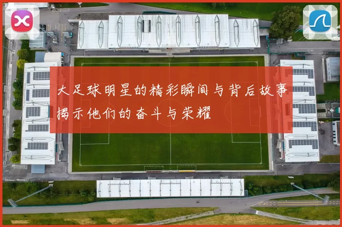 大足球明星的精彩瞬间与背后故事揭示他们的奋斗与荣耀