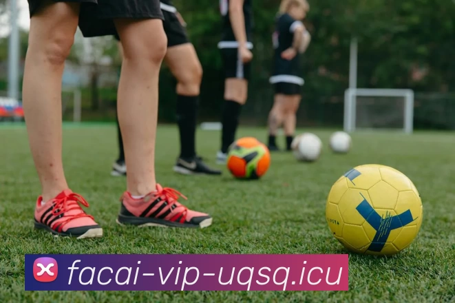 华体会体育平台生态图